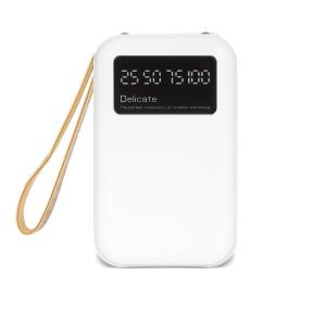 Powerbank 10000 mAh